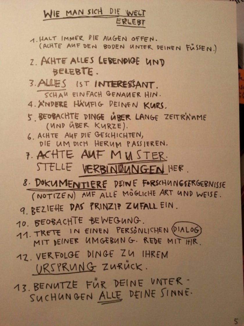 wp-1378848627638.jpg image